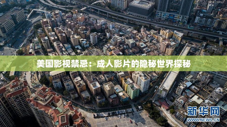 美国影视禁忌：成人影片的隐秘世界探秘