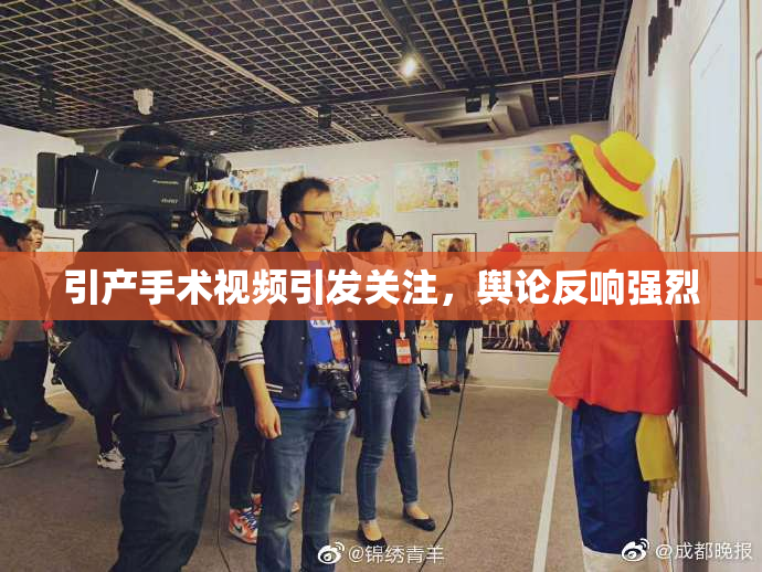 引产手术视频引发关注，舆论反响强烈