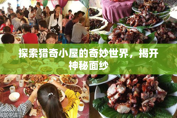 探索猎奇小屋的奇妙世界，揭开神秘面纱