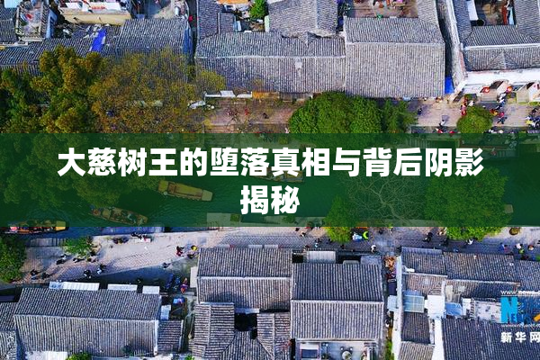 大慈树王的堕落真相与背后阴影揭秘