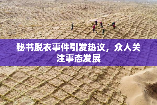 秘书脱衣事件引发热议，众人关注事态发展