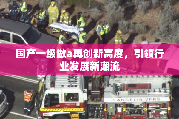 国产一级做a再创新高度，引领行业发展新潮流
