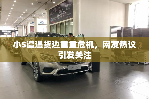 小S遭遇货边重重危机，网友热议引发关注