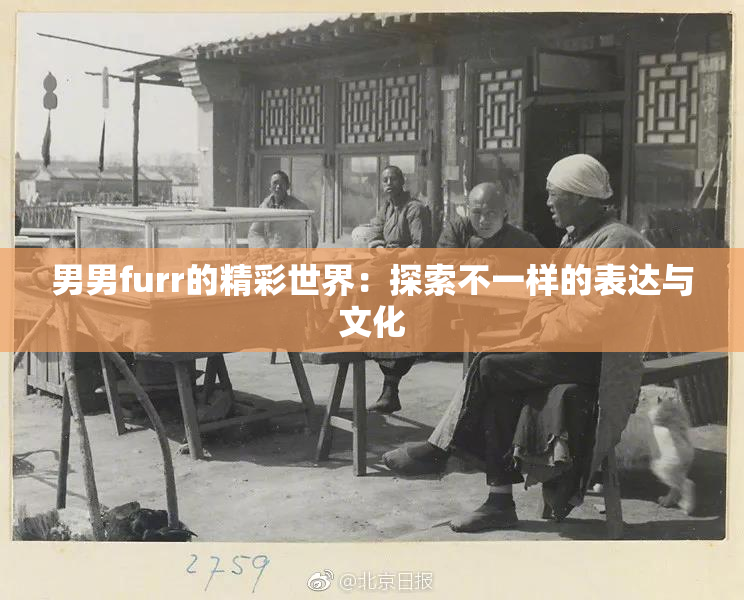 男男furr的精彩世界：探索不一样的表达与文化