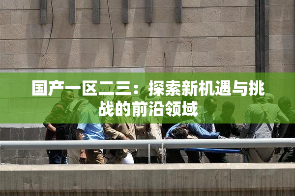 国产一区二三：探索新机遇与挑战的前沿领域