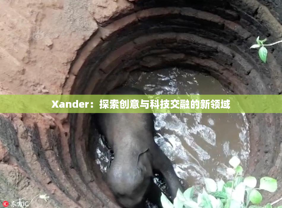 Xander：探索创意与科技交融的新领域