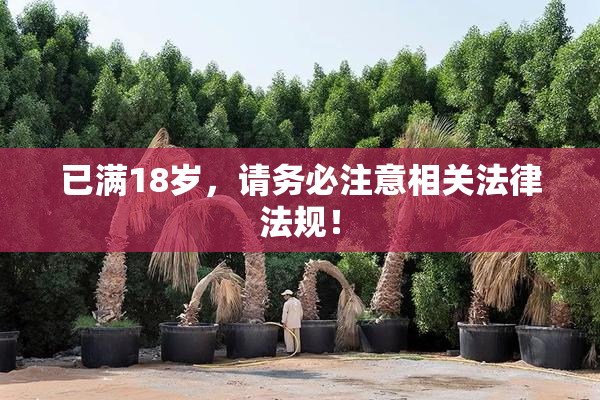 已满18岁，请务必注意相关法律法规！