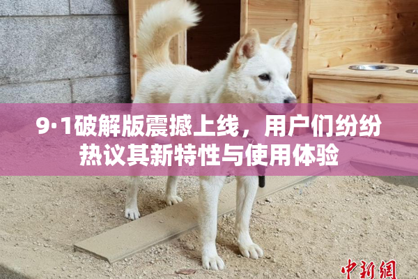 9·1破解版震撼上线，用户们纷纷热议其新特性与使用体验