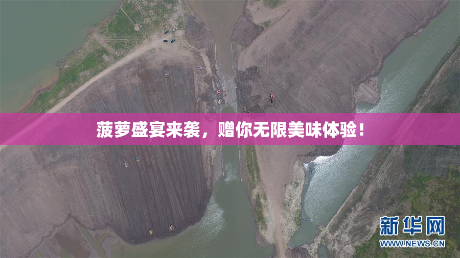 菠萝盛宴来袭，赠你无限美味体验！