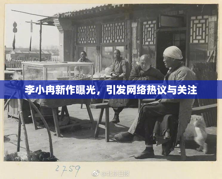 李小冉新作曝光，引发网络热议与关注