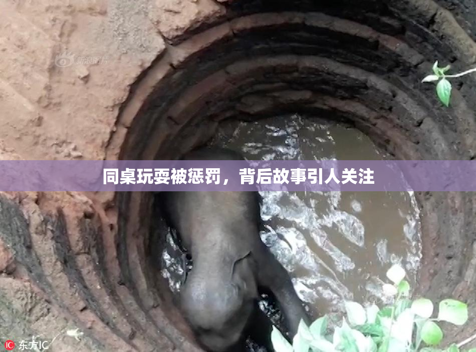 同桌玩耍被惩罚，背后故事引人关注