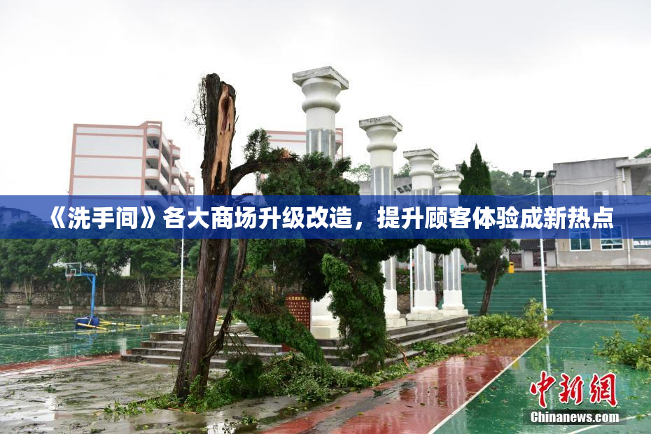《洗手间》各大商场升级改造，提升顾客体验成新热点