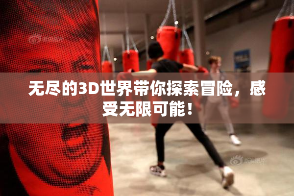 无尽的3D世界带你探索冒险，感受无限可能！