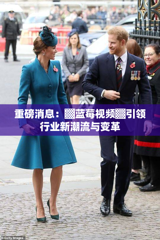 重磅消息：▓蓝莓视频▓引领行业新潮流与变革