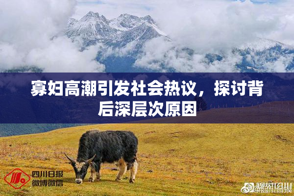 寡妇高潮引发社会热议，探讨背后深层次原因