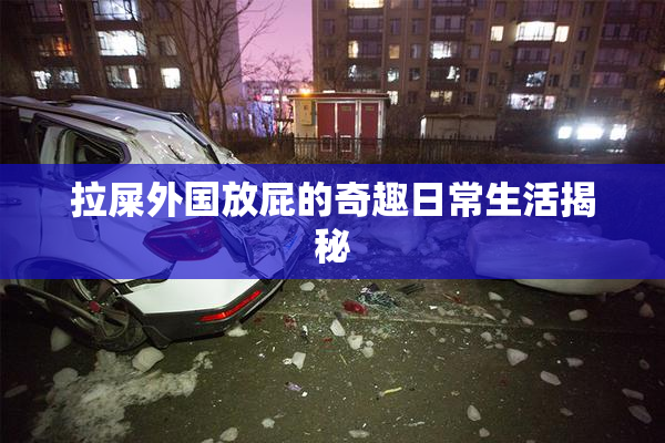拉屎外国放屁的奇趣日常生活揭秘