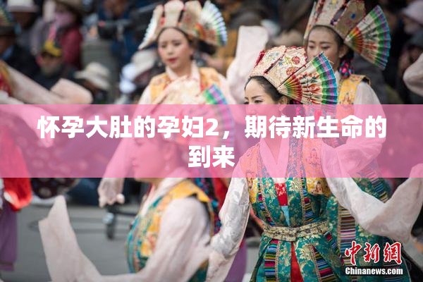 怀孕大肚的孕妇2，期待新生命的到来