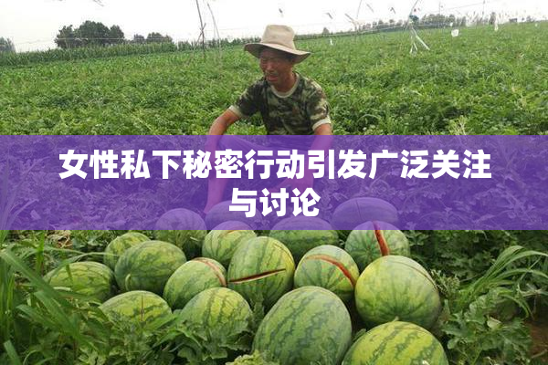 女性私下秘密行动引发广泛关注与讨论