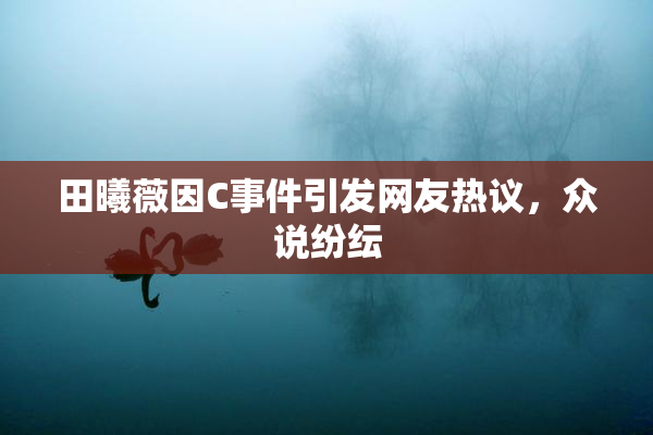 田曦薇因C事件引发网友热议，众说纷纭