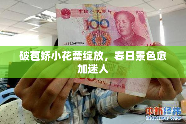 破苞娇小花蕾绽放，春日景色愈加迷人