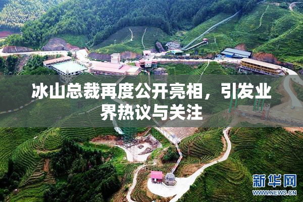 冰山总裁再度公开亮相，引发业界热议与关注