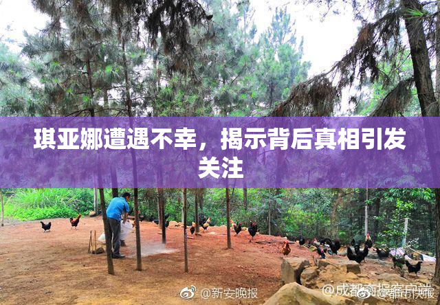 琪亚娜遭遇不幸，揭示背后真相引发关注