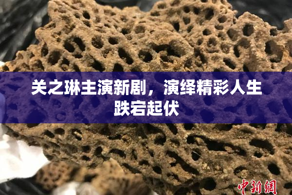 关之琳主演新剧，演绎精彩人生跌宕起伏