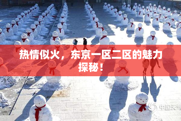 热情似火，东京一区二区的魅力探秘！