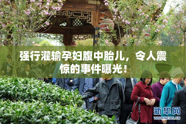 强行灌输孕妇腹中胎儿，令人震惊的事件曝光！