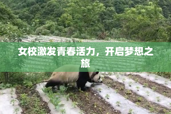 女校激发青春活力，开启梦想之旅