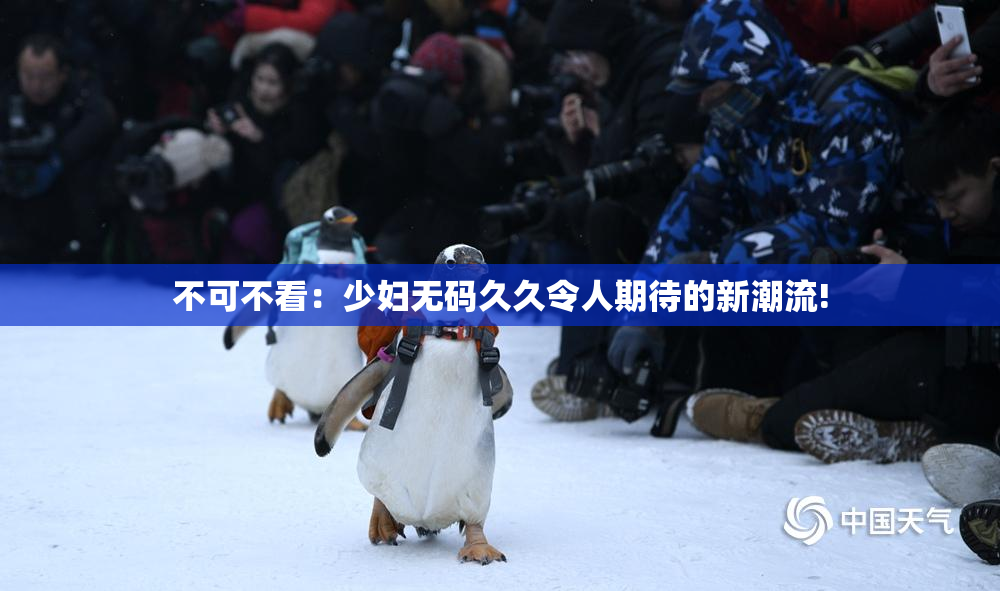 不可不看：少妇无码久久令人期待的新潮流!