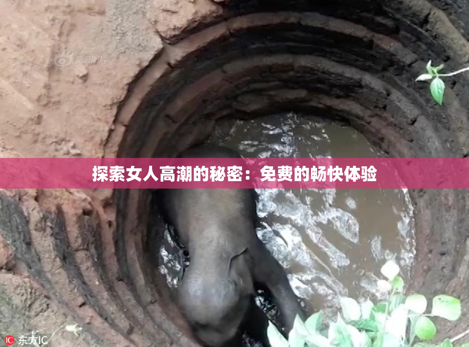 探索女人高潮的秘密：免费的畅快体验