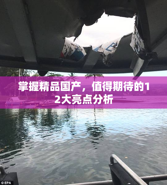 掌握精品国产，值得期待的12大亮点分析