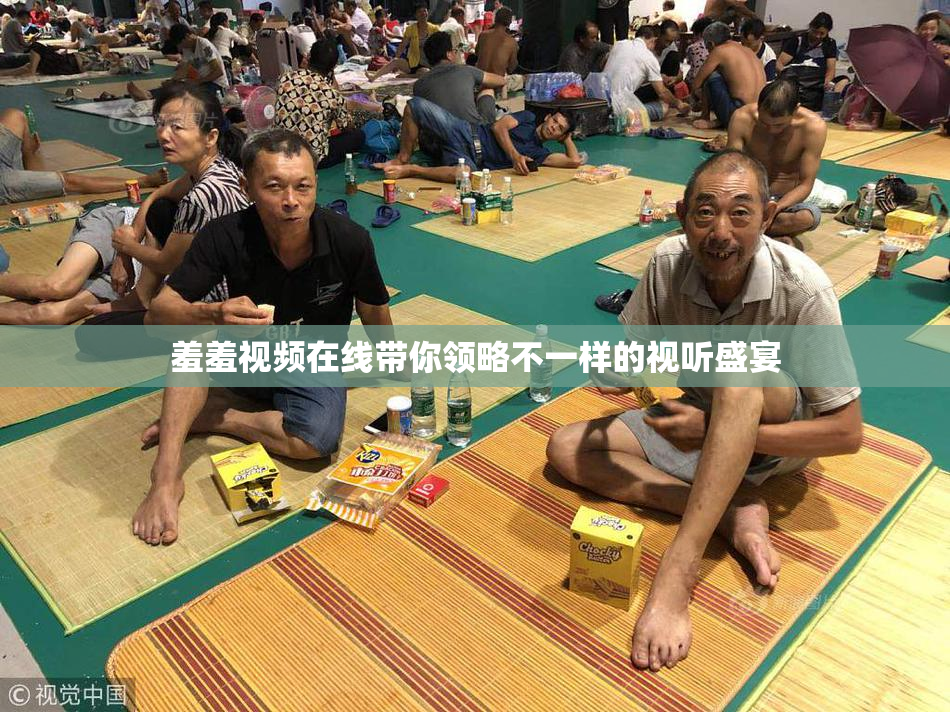 羞羞视频在线带你领略不一样的视听盛宴