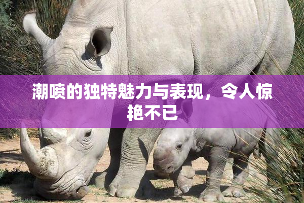 潮喷的独特魅力与表现，令人惊艳不已