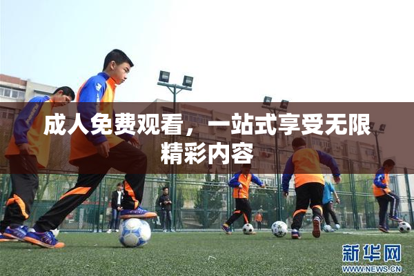 成人免费观看，一站式享受无限精彩内容