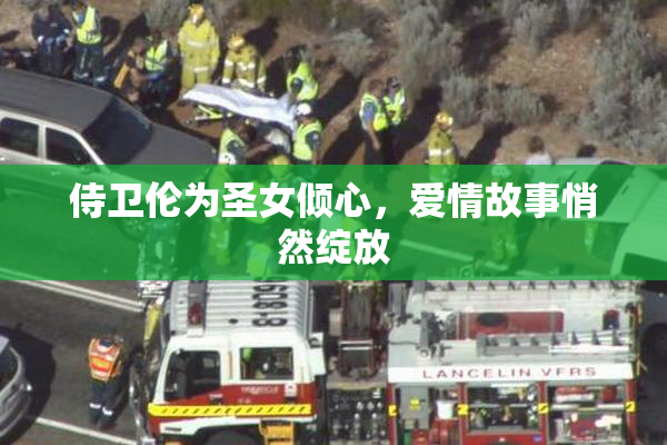 侍卫伦为圣女倾心，爱情故事悄然绽放