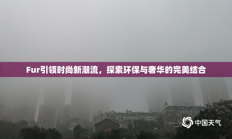 Fur引领时尚新潮流，探索环保与奢华的完美结合