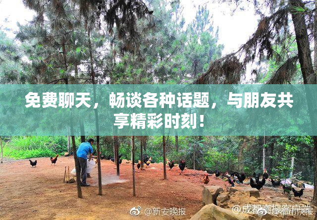 免费聊天，畅谈各种话题，与朋友共享精彩时刻！