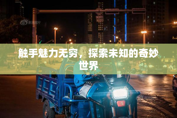 触手魅力无穷，探索未知的奇妙世界
