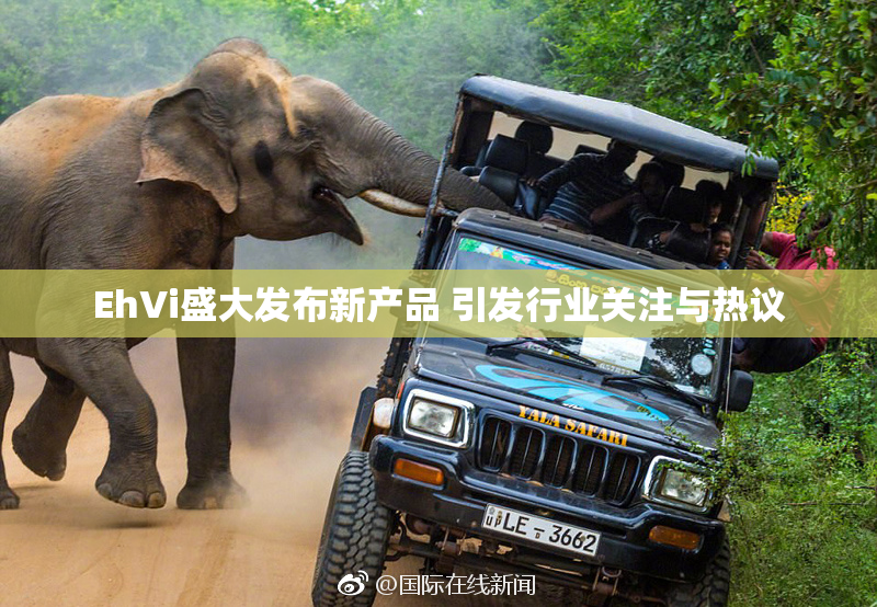 EhVi盛大发布新产品 引发行业关注与热议