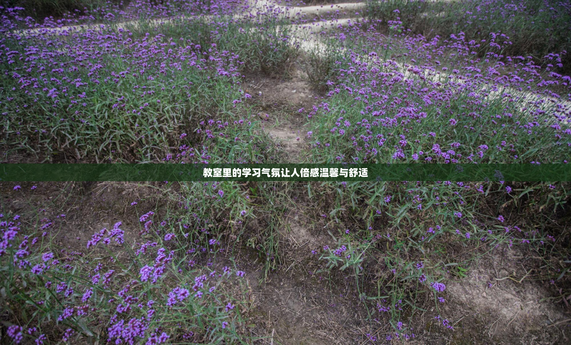教室里的学习气氛让人倍感温馨与舒适