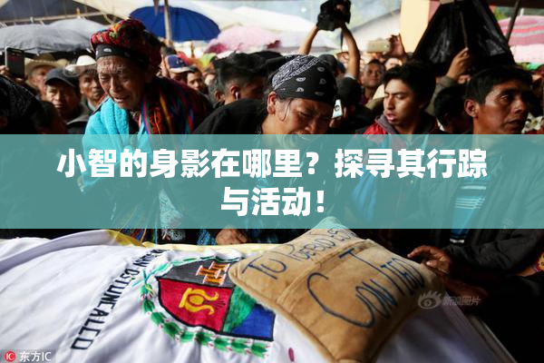 小智的身影在哪里？探寻其行踪与活动！
