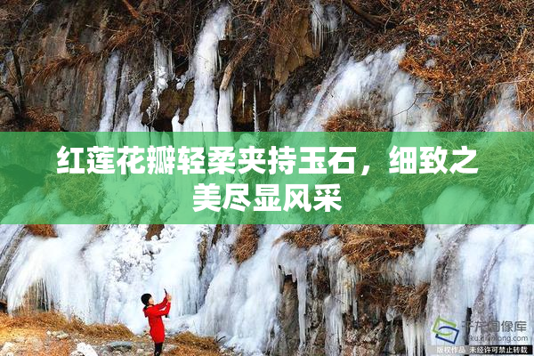红莲花瓣轻柔夹持玉石，细致之美尽显风采