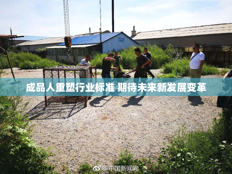 成品人重塑行业标准 期待未来新发展变革