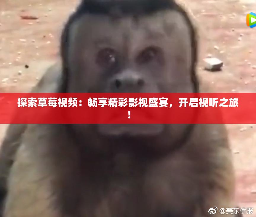 探索草莓视频：畅享精彩影视盛宴，开启视听之旅！