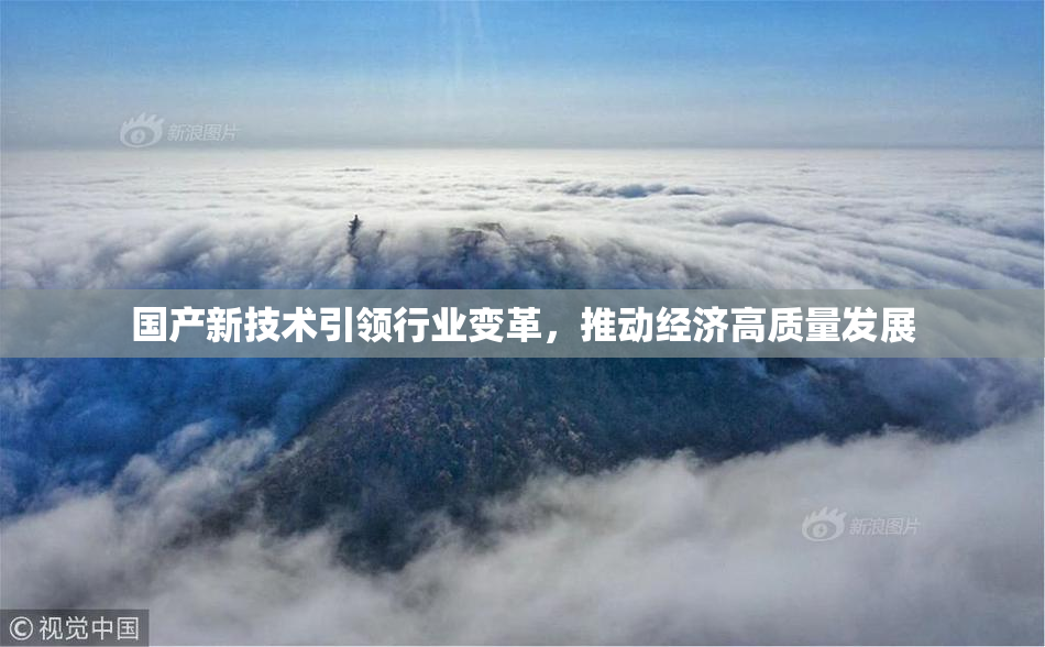 国产新技术引领行业变革，推动经济高质量发展