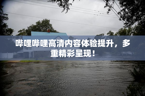 哔哩哔哩高清内容体验提升，多重精彩呈现！