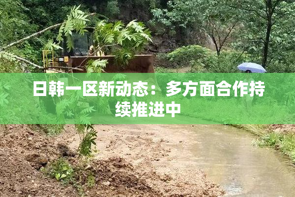 日韩一区新动态：多方面合作持续推进中