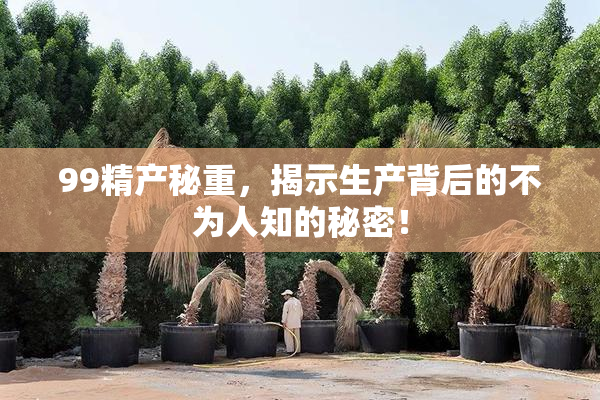 99精产秘重，揭示生产背后的不为人知的秘密！